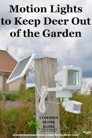 I address the success and the pros and cons of each step so you can find the best step for your property. Keep Deer Out Of Your Garden 5 Deer Deterrent Tips