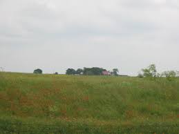 The Tucker Ranch