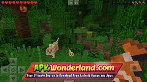 You can check out this post to read about all the new things! Minecraft Pocket Edition 1 6 0 6 Final Apk Mod Free Download For Android Apk Wonderland