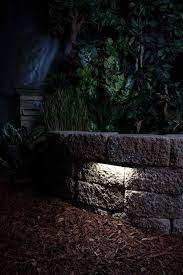 Pin On Gardening