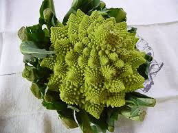 Etonnant Le Chou Romanesco Paris Cote Jardin Chou Romanesco Plantes Comestibles Choux