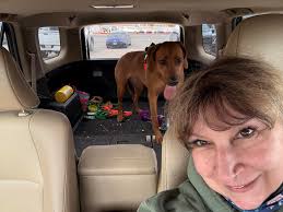 I'm beaming with pride over this girl's incredible progress. With minimal  encouragement, she's now confidently getting in and out of the truck