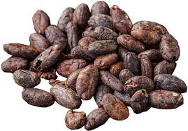 Cocoa beans used to be part of the following crafting recipe. Cocoa Beans Plantation Health Benefits Facts Science4fun