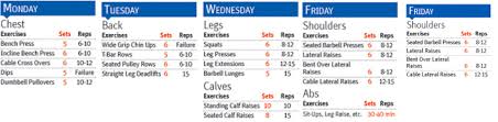 Gold Gym Workout Plan Amtworkout Co