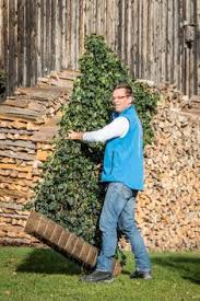 Parrotia Persica Parrotia Persica Ist Ein Hubscher Baum Der Vor Allem Fur Seine Auffalige Herbstfarben Beliebt Ist Als Spalierbaum Wi Spalier Pflanzen Garten
