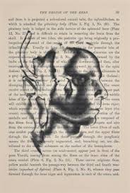 Bildergebnis für Robert Flynt