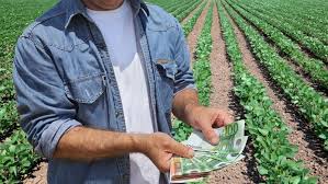 In sedinta de guvern din 4 octombrie 2018 a fost aprobata hotararea privind stabilirea pentru anul 2018 a cuantumului per hectar al platii unice pe suprafata prin adoptarea prezentei hg, agentia de plati si interventie pentru agricultura (apia) va putea acorda incepand cu 16 octombrie 2018 plati in avans. SubvenÈiile Apia Cum Se AcordÄ Èi Cine BeneficiazÄ De Ele Basf Agricultural Solutions Romania