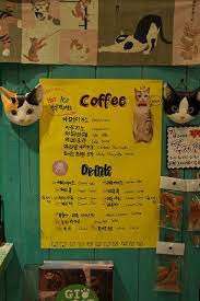 Cat Cafes Cafe Menu Museum Cafe Cat Cafe