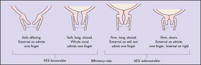 Obstetric Operations Clinical Gate