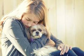 Depression in pet birds is more common than you might think. How To Choose The Best Pets For Depression Or Anxiety From Science