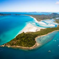 Image result for Queenslandiella