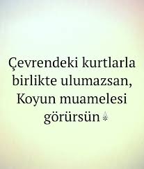 Cevrendeki Kurtlarla Birlikte Ulumazsan Koyun Muamelesi Gorursun Akpnr Ozlu Sozler Guzel Soz Alintilar