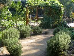 Water is needed especially during long dry periods or when planting seeds. Front Lawn Versus Edible Gardens You Choose Eden Makers Blog By Shirley Bovshow