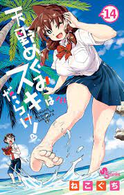 Amano Megumi Wa Suki Darake, An Ecchi With Plot – The Blog Of A Kami That's  An Otaku