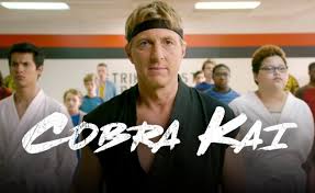 Free shipping on orders over $25 shipped by amazon. Cobra Kai Season 2 Ideas Johnny S Innocence And Missing Mr Miyagi Indiewire