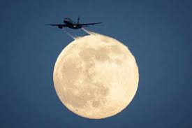 Find over 100+ of the best free pink moon images. Super Pink Moon 2020 Date Time And How To Watch Live Streaming In India