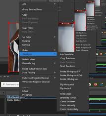 Obs undo resize outputshow all. How To Flip Your Camera In Obs In 4 Steps Streamscheme