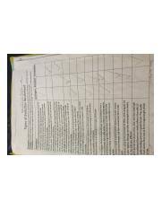 Word bank convergent evolution divergent evolution coevolution punctuated equilibrium. Worksheet Evolutionary Patterns Answer Key Pdf Eastern Regional High School Honors Biology Name Period Date Unit 15 U2013 Populations And Natural Course Hero