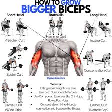 Conseil Fitness Musculation En 2020 Musculation Exercices De Musculation Pour Hommes Fitness Et Musculation
