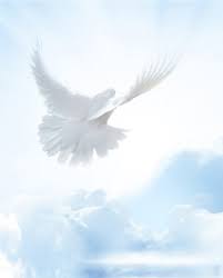 Obituary for Dexter Paulson