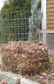 Sue murray • 4 pins. Denise Preischel Dpscissors Profile Pinterest