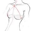 Primarily, there are three chest muscles involved in movement: 1