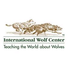 It was an amazing experience each time and wonderful to view the wolves. International Wolf Center Schedule Reviews Activityhero