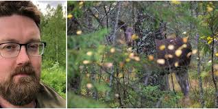 Jägarförbundets krav: Kortare älgjakt och brunstuppehåll