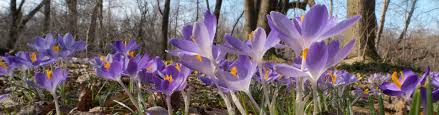 Wie fragt man nach dem weg, und wie kann man jemandem helfen, wenn man gefragt wird? Fruhling In Der Eifel Top Ausflugsziele Und Ubernachtungsmoglichkeiten