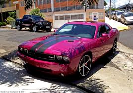 Image result for Furious Fuchsia 2010 Challenger