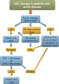 flow chart illustrating the treatment pathways in hcl