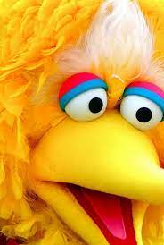 Big Bird Sesame Street Muppets Sesame Street Big Bird Sesame Street