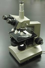 What should i line my microscope tube with? Microscopy Intro To Microscopes How They Work Article Khan Academy