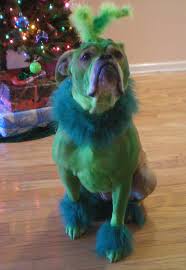 Homemade Grinch Who Stole Christmas Dog Costume Christmas Dog Costume Christmas Dog Christmas Dog Outfits