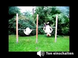Weitere ideen zu turnreck garten, klimmzugstange, turnen. Turnstangen De Turnreck Turnstangen Fur Kinder Und Garten Youtube