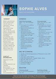 When writing a resume, make sure to hit the bull's eye. Front End Developer Resume Samples Templates Pdf Doc 2021 Front End Resumes Bot Resume Template Resume Template Examples Resume Examples