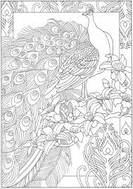 Peacock Coloring Page 29 31 Peacock Coloring Pages Coloring Pages Bird Coloring Pages