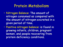 Protein And Amino Acids Ppt Download