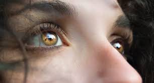 Recopilación de audios sobre sacheri. La Pregunta De Sus Ojos Vs El Secreto De Sus Ojos La Bitacora Del Tigre