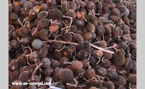 Epingle Par Doukmariam Sur Bat Fruit Africain Fruits Exotiques Fruit