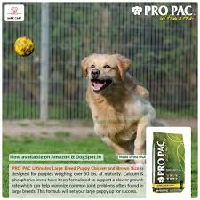 Maybe you would like to learn more about one of these? Dogspot Just How Adorable Are Large Breed Puppies They Facebook