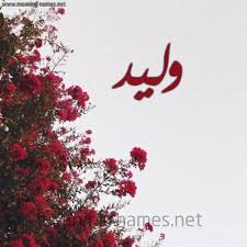 كل زخرفة وحروف وليد زخرفة أسماء كول