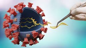 Studies have shown that, in general, reinfection is rare due to the. Delta Las 5 Mutaciones Que Hacen A Esta Variante Del Coronavirus Mas Contagiosa Y Preocupante Bbc News Mundo