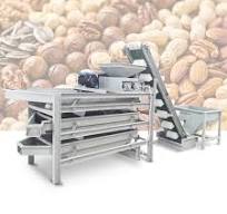 Peanut Sorting Grading Machine - Gondor Machinery