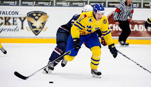 Slovakiet er en stat i centraleuropa. Sverige Foll Mot Slovakien I Junior Vm Svenska Ishockeyforbundet