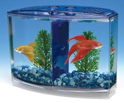 Penn Plax Twin Beta Bow Kit Betta Fish Betta