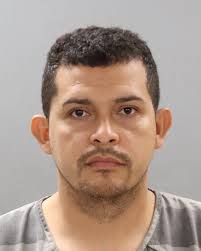 Should Greer be defended for posting photos of children subject to sexual  molestation?