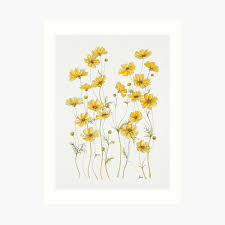 The end of this listing has. Botanical Art Prints Redbubble