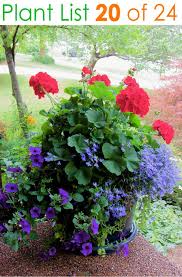 See more ideas about container gardening, garden containers, container plants. 24 Stunning Container Garden Planting Ideas A Piece Of Rainbow