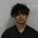 Dion Henderson — Carroll County Jail Bookings